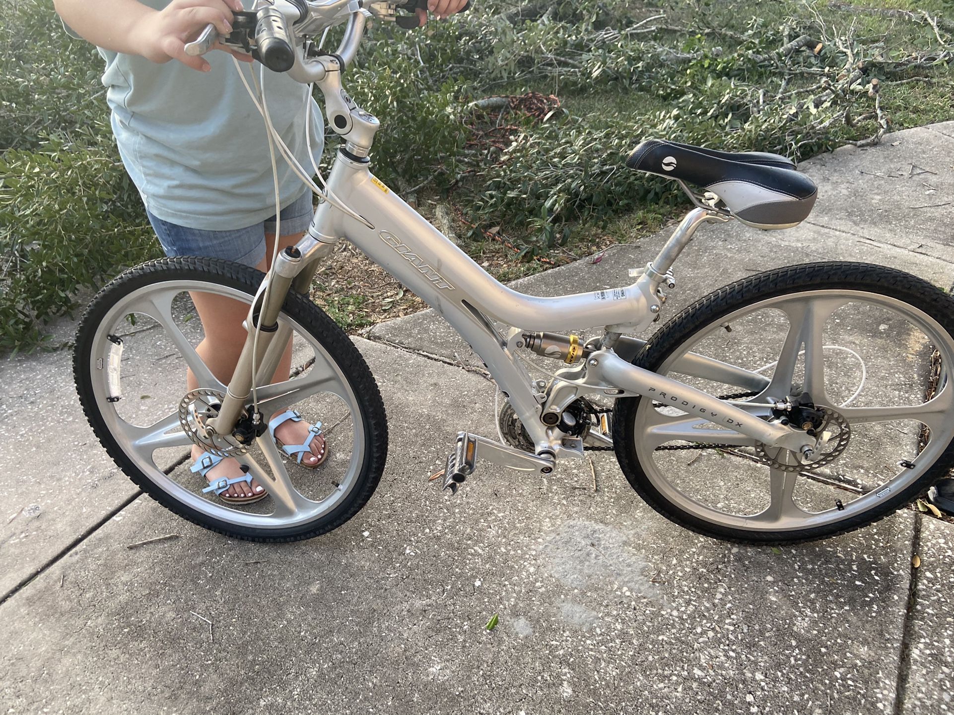 Giant Bicycle