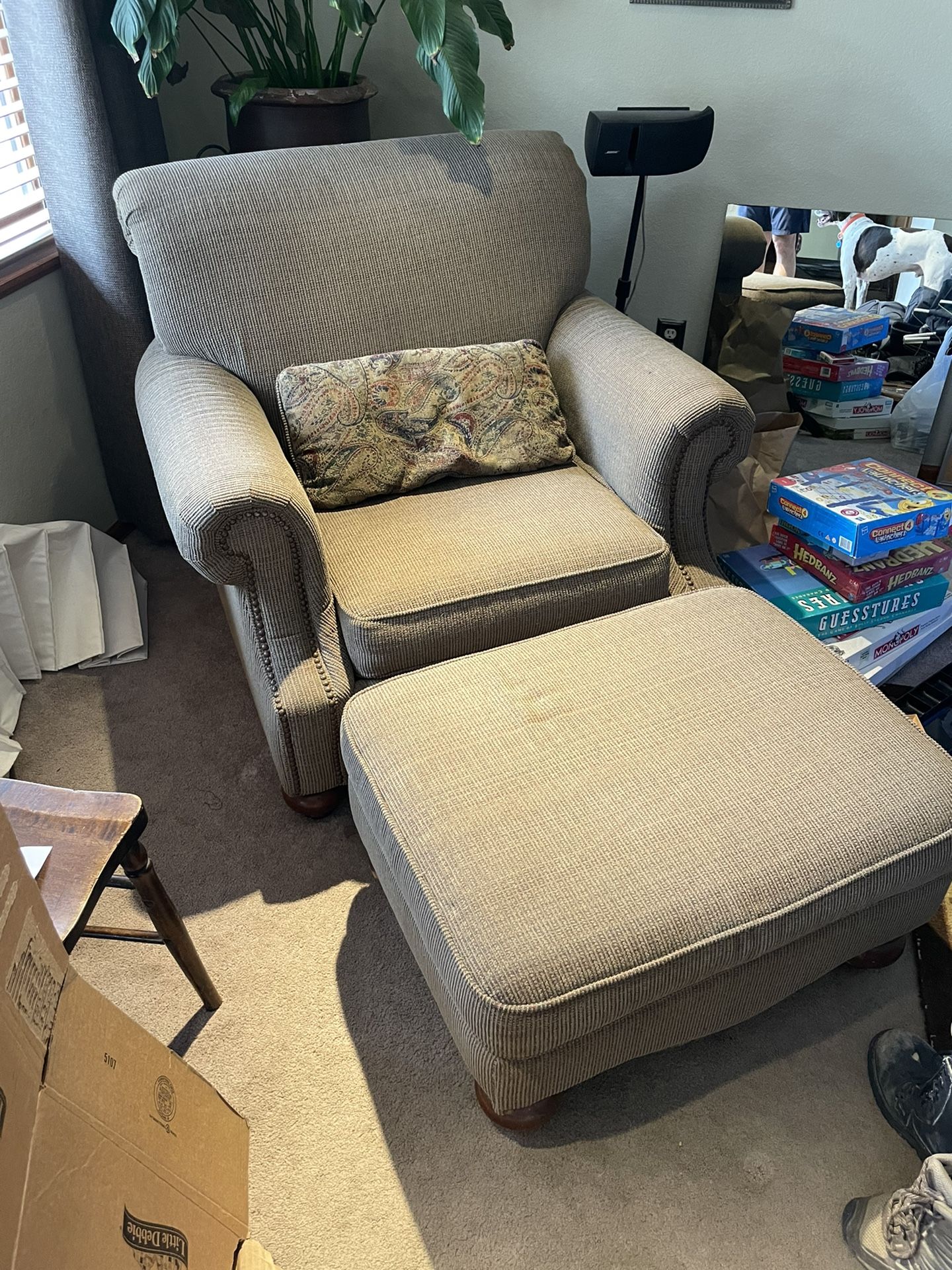 Comfy Chair And Ottoman And Pillow