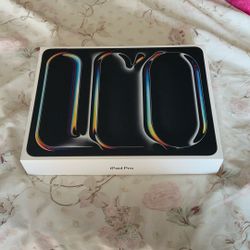 iPad Pro  13in - Brand New - 2T data
