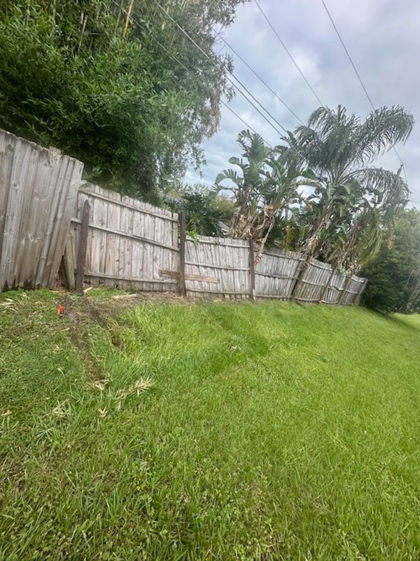 You Need Fence ?