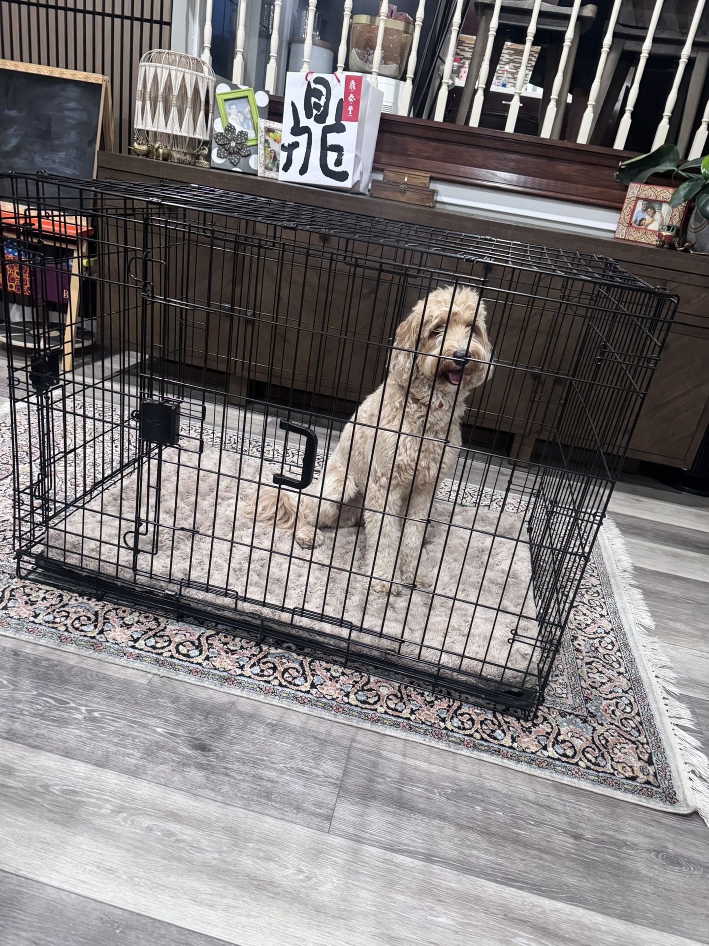 Foldable Metal  Wire Dog Crate-42 x 28 x 30 in, Black