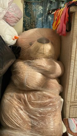 Huge Teddy
