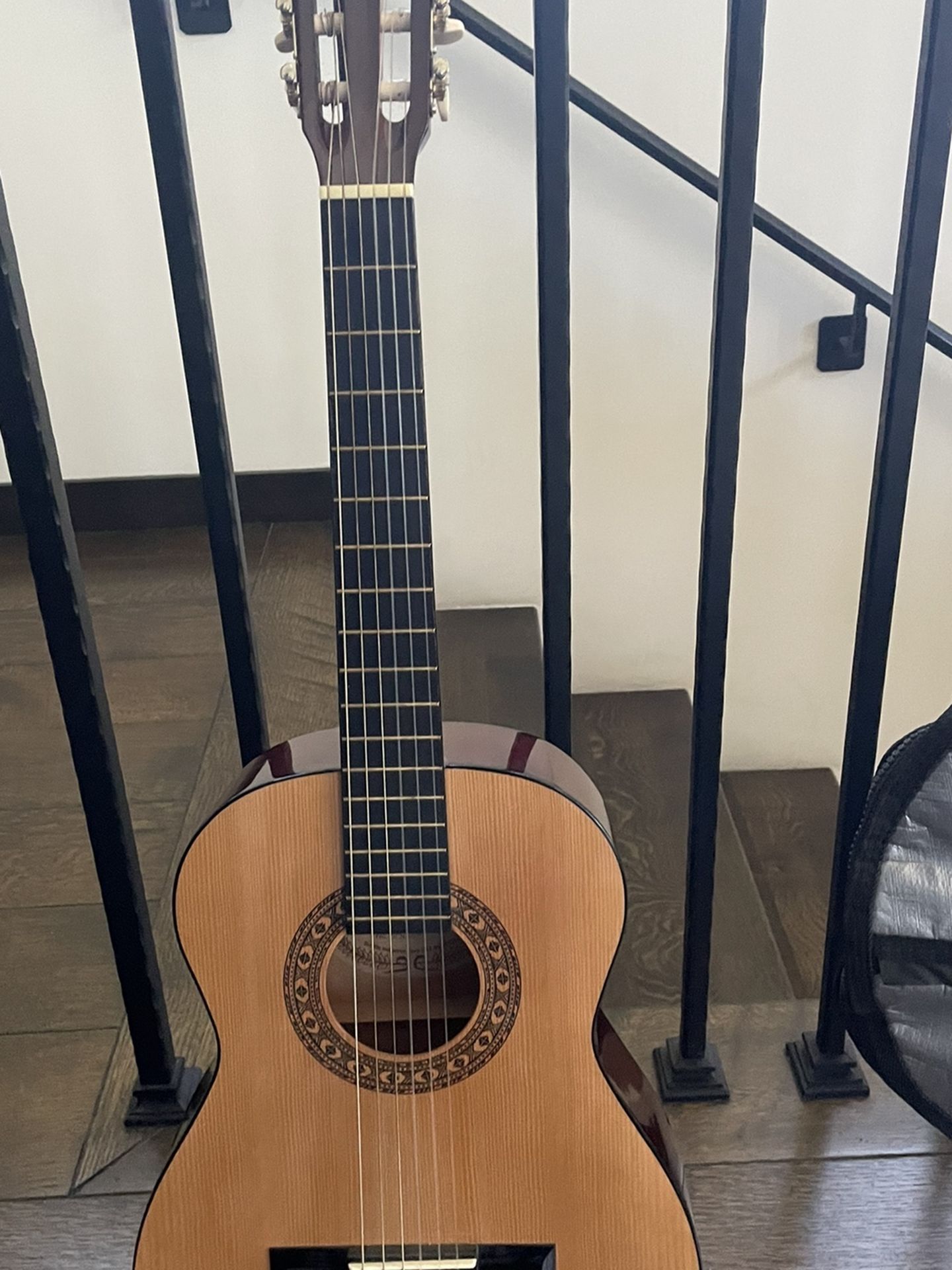 Beginner Guitar Set Up (Brand:Sunlight)