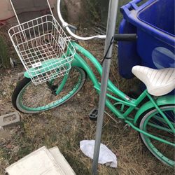 Beach Cruiser