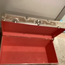 Painted Rhino Trunk 