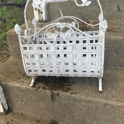 Basket Plant