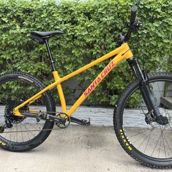 Santa Cruz Chameleon (L)
