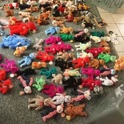 Beanie Baby Collection 