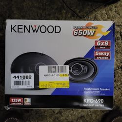 Kenwood 6x9s