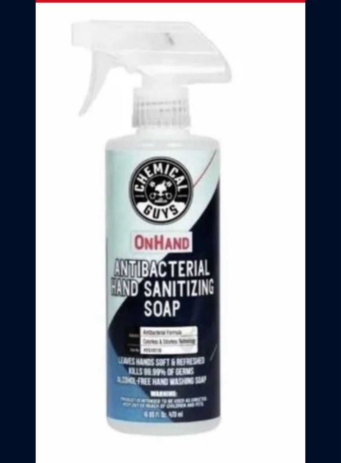 Chemical Guys Antibacterial Hand Sanitizing Soap