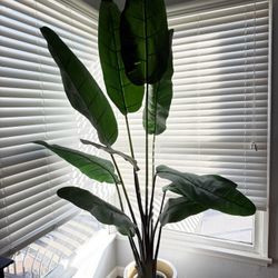 TALL 7ft Faux Bird Of Paradise 