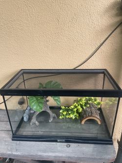 10 gallon reptile aquarium with lid