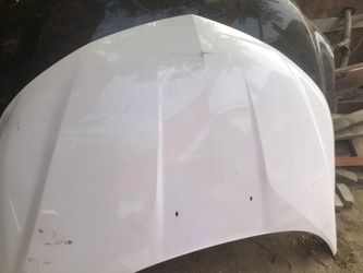 2019 Gm Hood Volt 2016 To 2019 Used