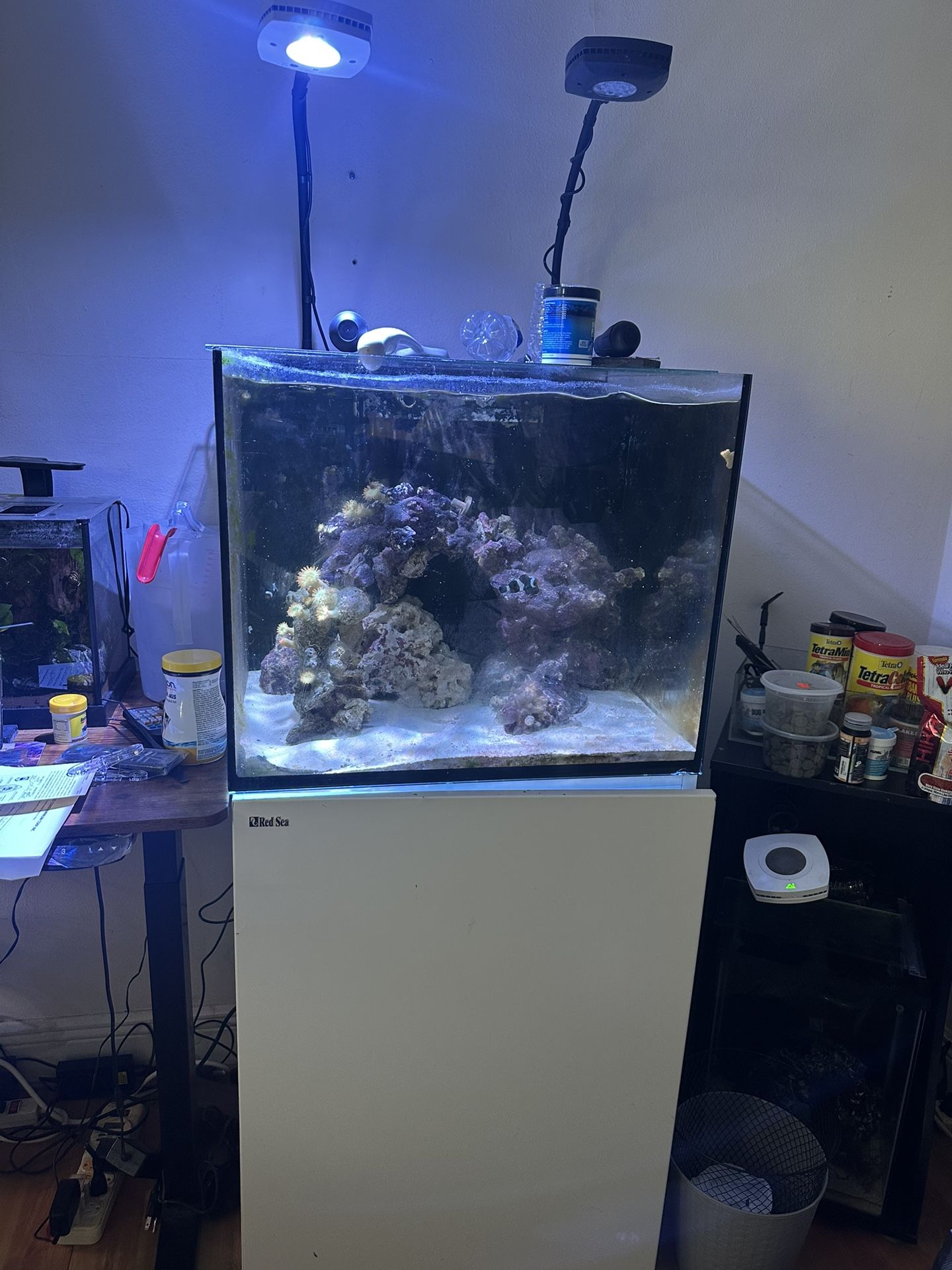 Red Sea 170 Fish Tank / 43 Gallons