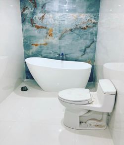 Toiler bathroom