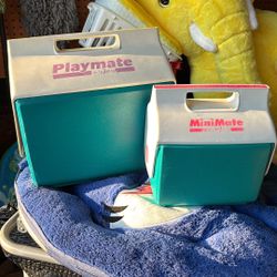 Lunch Ice Coolers