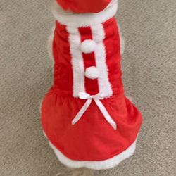 Adorable Mrs Claus Pet Costume