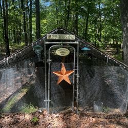 Chicken Pen With Coop