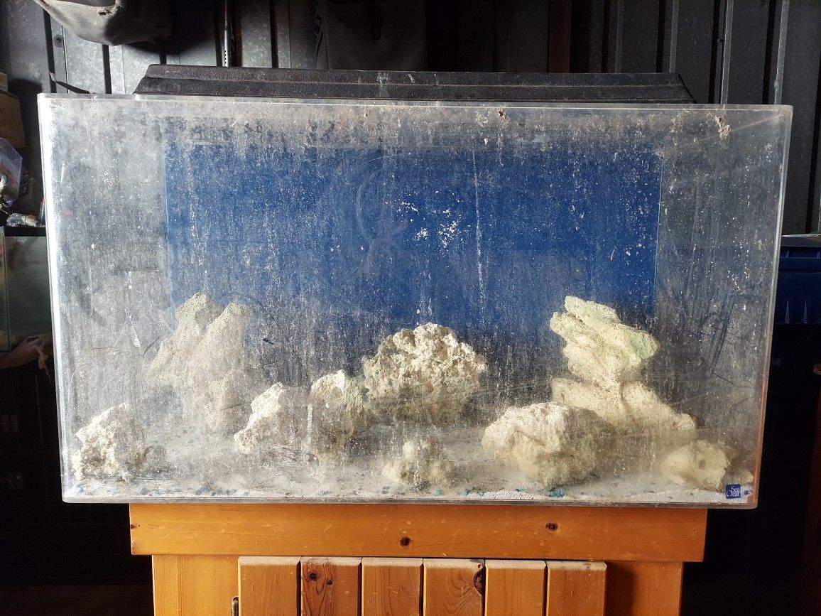 FISH TANK SEA CLEAR ACRYLIC 50G/ TOP