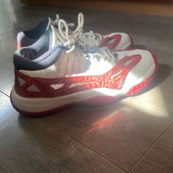 Jordan Low Retro IE Size 6.5  (SHOES/SNEAKERS)