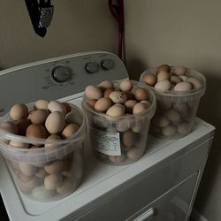 Fresh Fram Eggs 