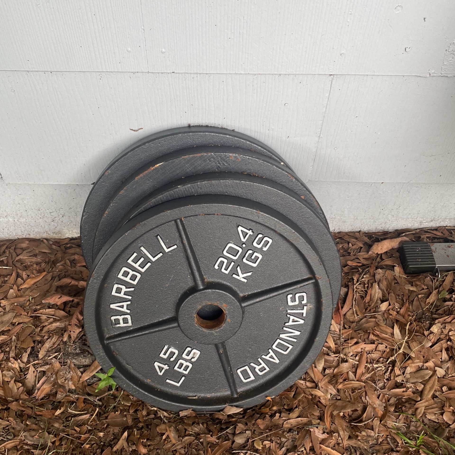 45 Pound Weight Plates