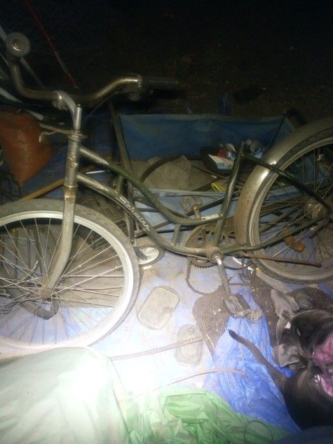 Schwinn Bicycle