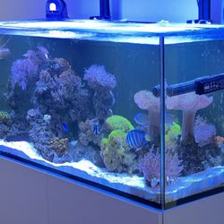 Complete Red Sea Reefer 350 Saltwater Reef System – Apex, Trident, Hydra Lights, Arctica Chiller