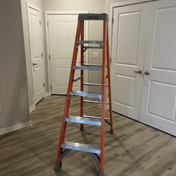 6’ Foot latter 