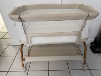 moises bassinet