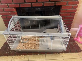 Guinea pig cage