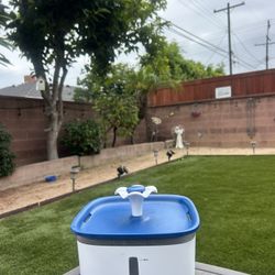Cat Drinking Fountain 