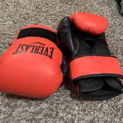 Everlast boxing gloves