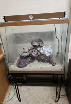26 gallon aquarium fish tank with stand, heater, rock, more