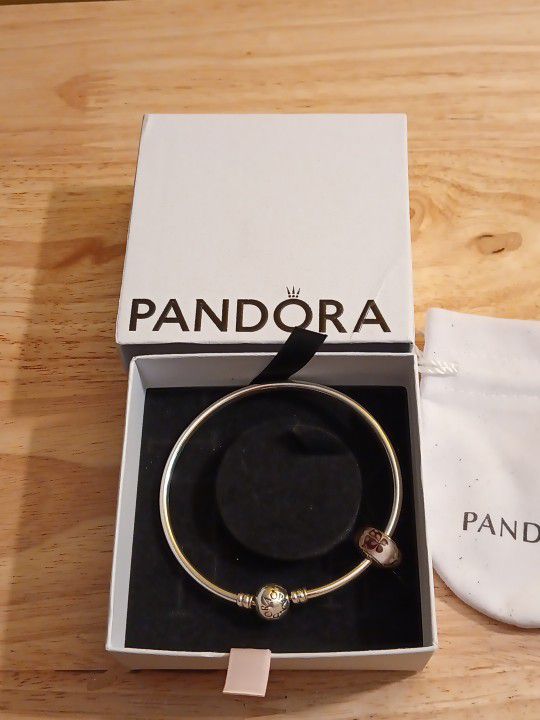 Pandora Brand New Authentic 7.5 Sterling Silver Solid Bangle W/ 1 Charm W/Pouch 