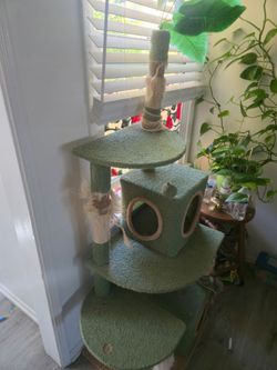 free cat tree