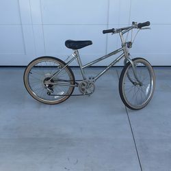 Schwinn Ms. Enduro 22 Wheel Bull Moose 1980’s Vintage kids Bike