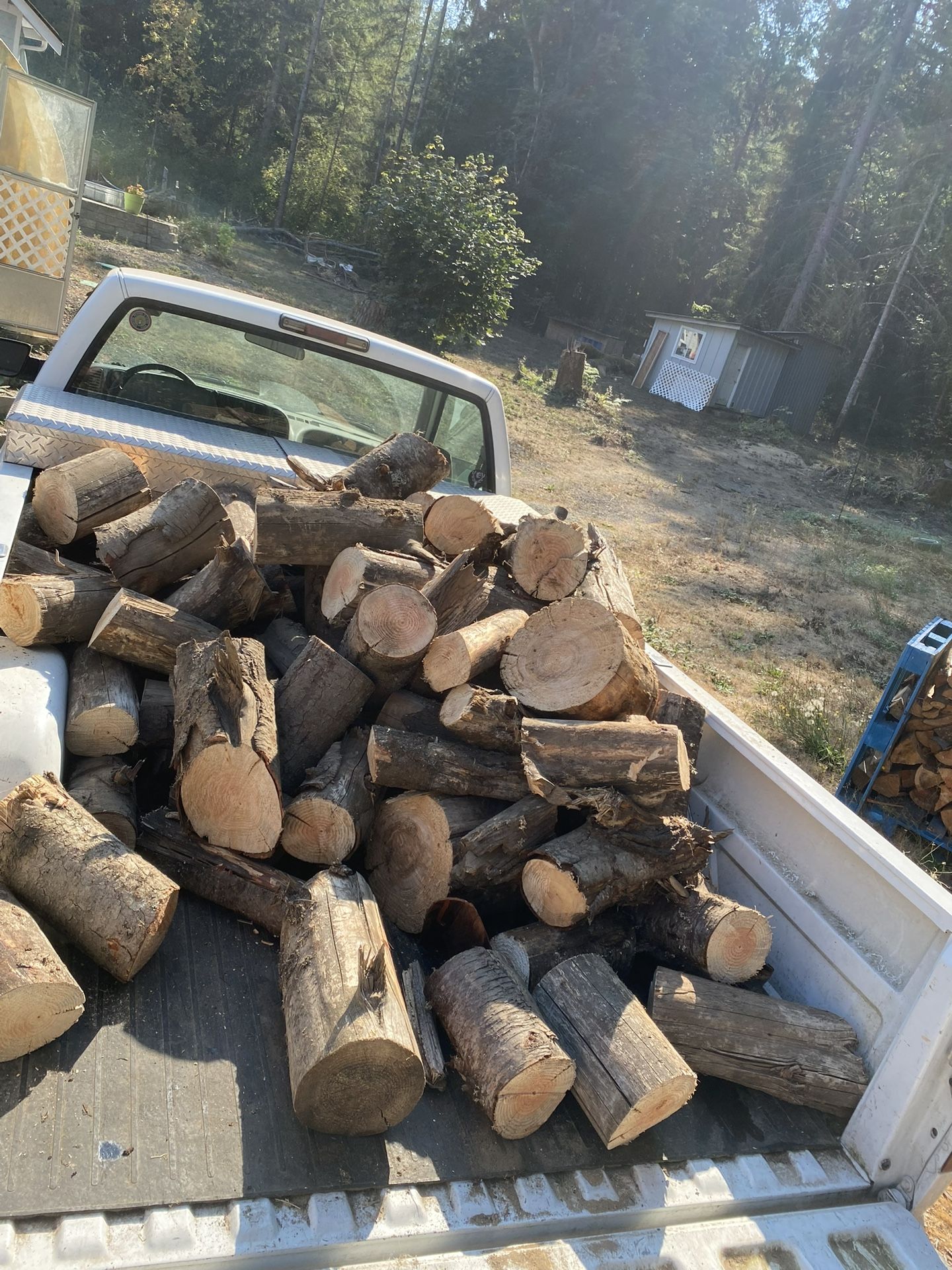 Seasoned Mixed Fir - Firewood