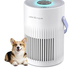 Removes Allergens with quiet model  Portable Air Purifier