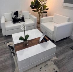 Loveseat, chair and coffee table