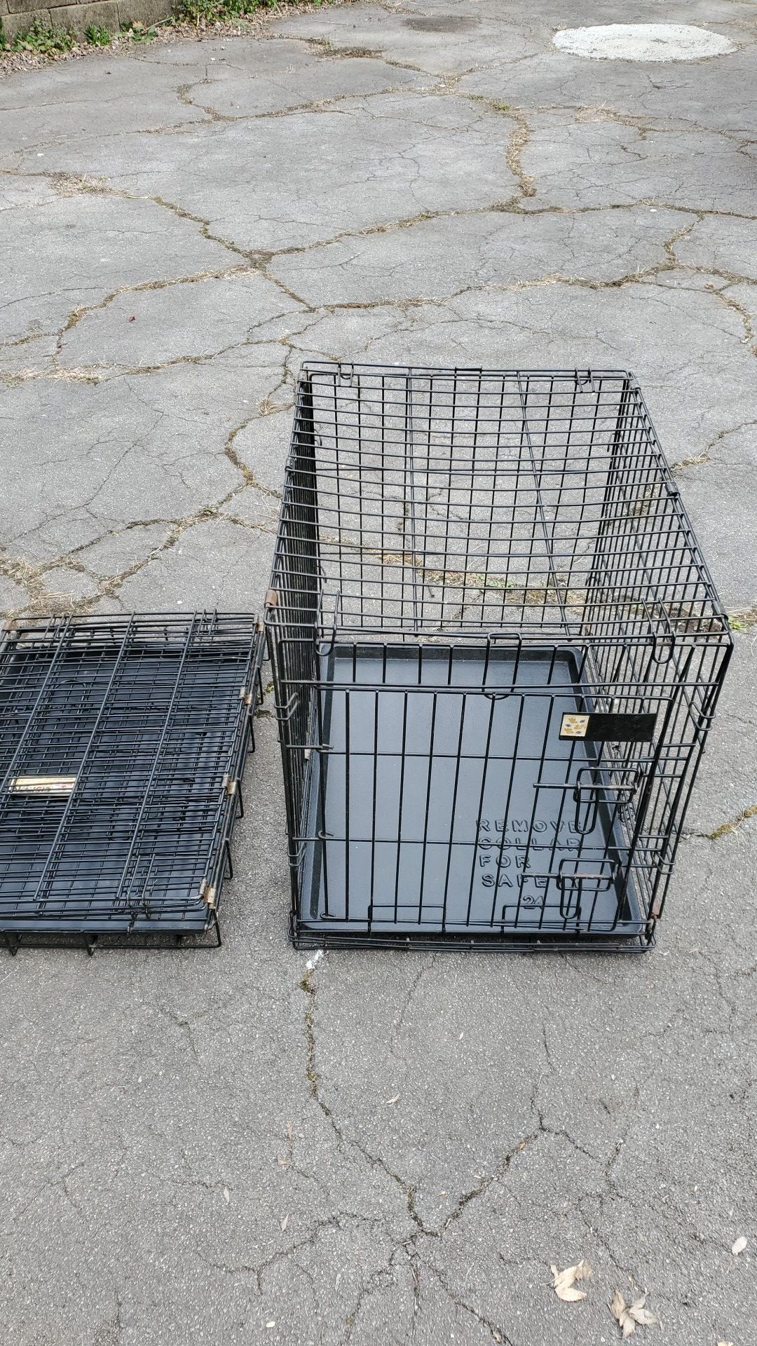 Two small collapsible dog crates