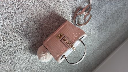 Aldo purse