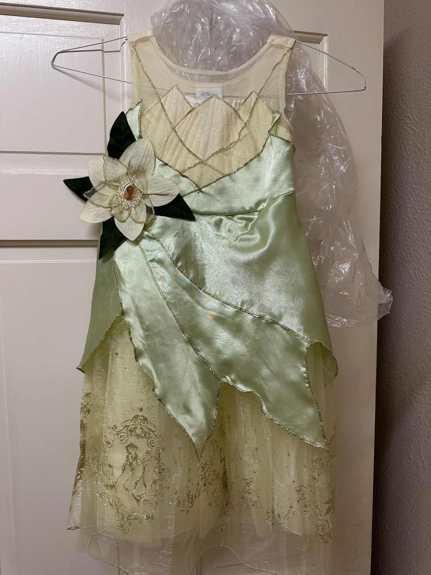 Girls Disney Princess Tiana Costume 