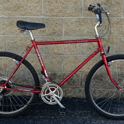 Schwinn Mesa Runner - Vintage Classic Steel Frame Bike - Ready to Ride
