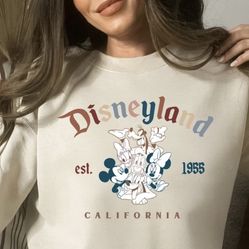 Disney shirt or sweater