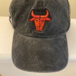 Brand New - Chicago Bulls BMO Series Hat