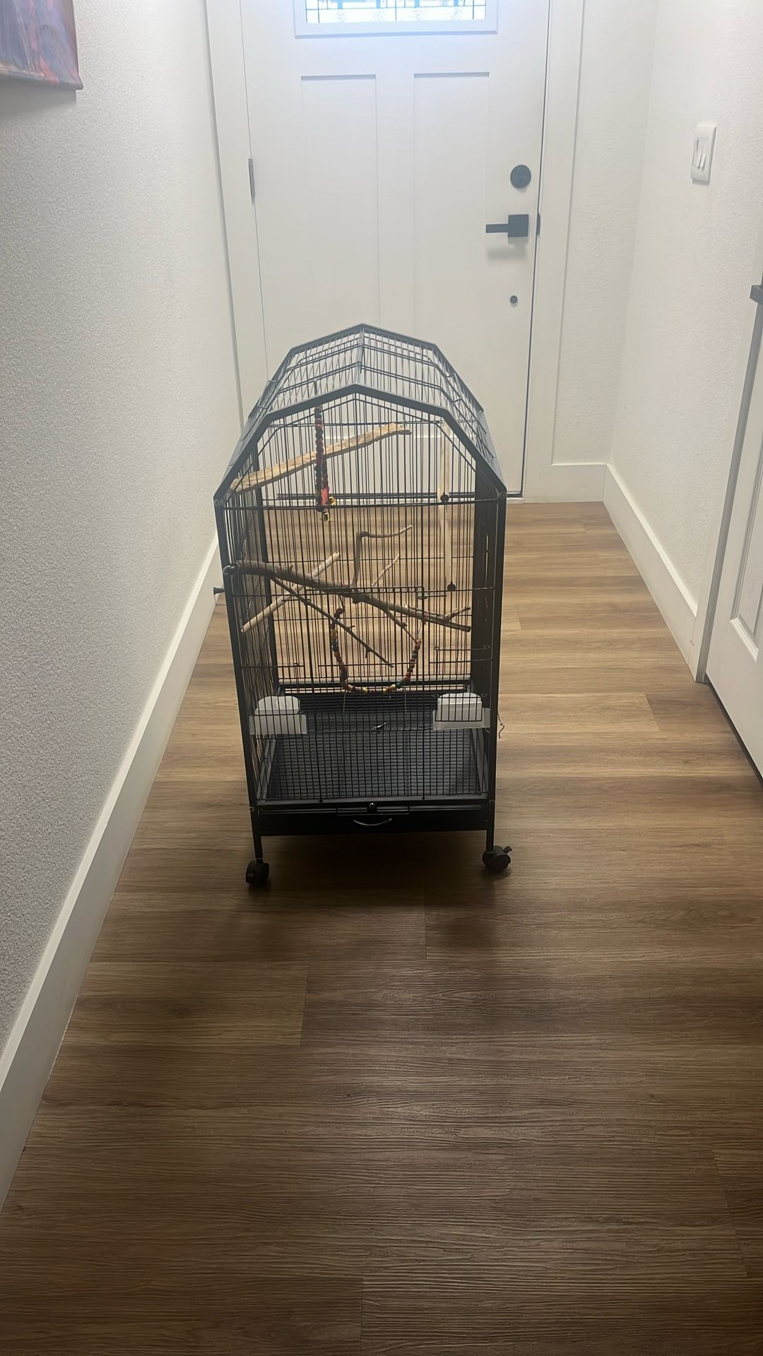 Bird Cage
