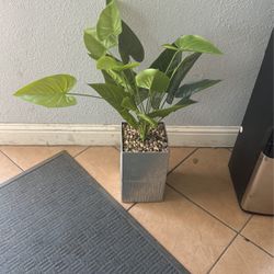 Fake Plant 🌱 