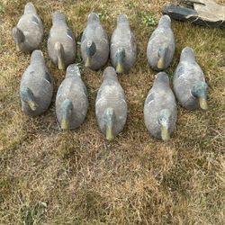 Victor Wooden Duck Decoys 