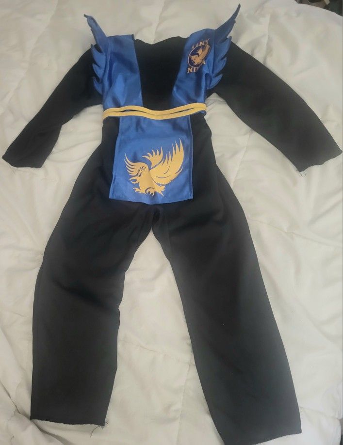 Ninja costume